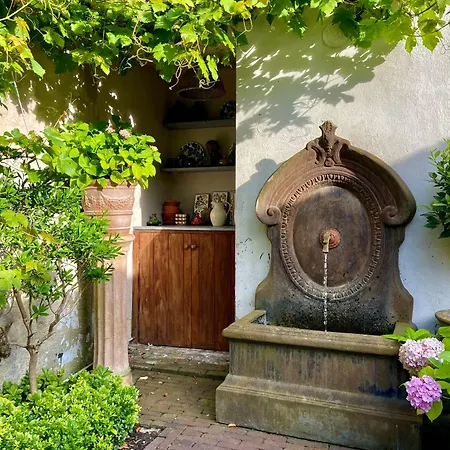 B&B Huyze Elimonica-3