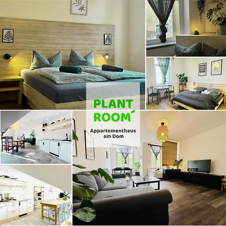 Apartmenthaus am Dom - Küche, Wifi, TV-3