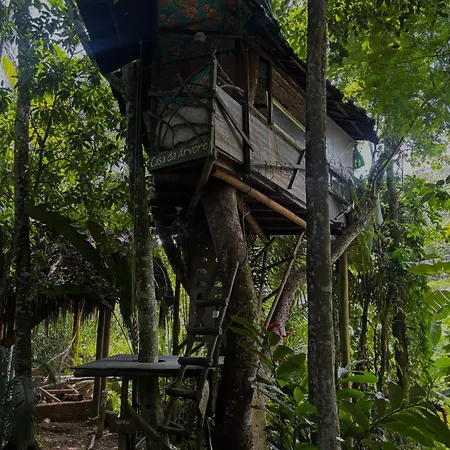 Sitio Simple Life-3
