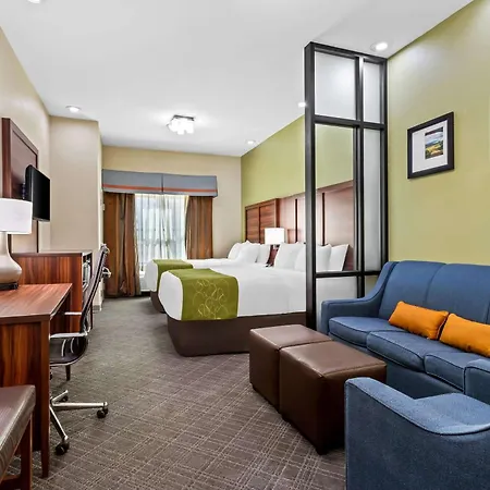 Comfort Suites Roswell North-2