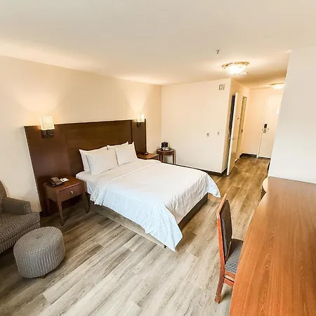 West Edmonton Mall Inn-3