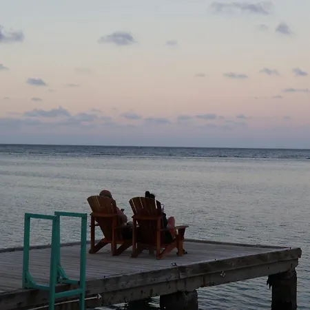 Ocean Palms-2