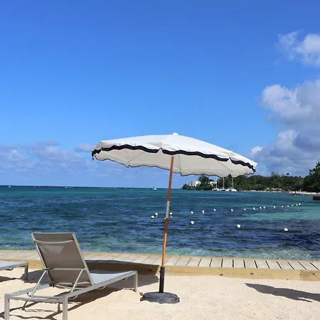Ocean Palms-3