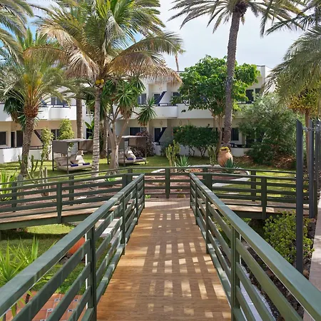H10 Ocean Dunas - Adults Only-2