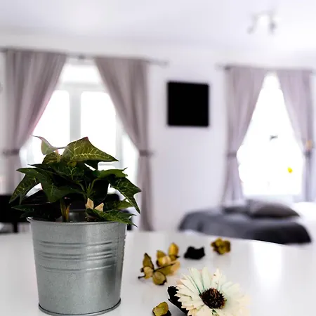 Amica Guesthouse-2