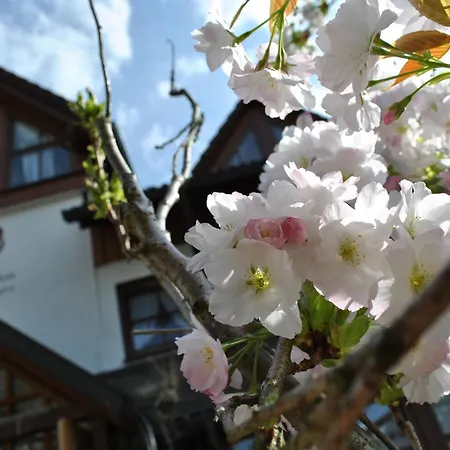 B&B Apart Hotel Goldener Hahn - Pool & Sauna, Fruehstueck-3
