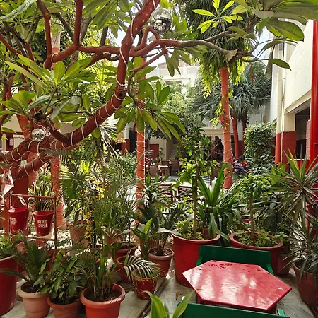 Hotel Tourist Rest House Agra-3