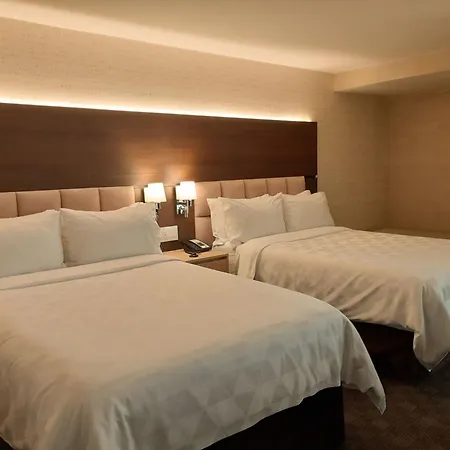 Holiday Inn Guatemala By Ihg-2