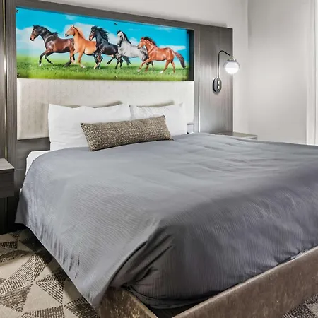 Big Country Hotel & Suites, Surestay Collection By BW-2