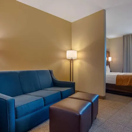 Comfort Suites Alexandria North-3