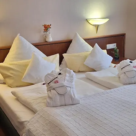 Aparthotel Hohenzollern-2