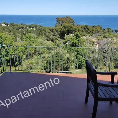 Hostal Sa Barraca - Adults Only-3