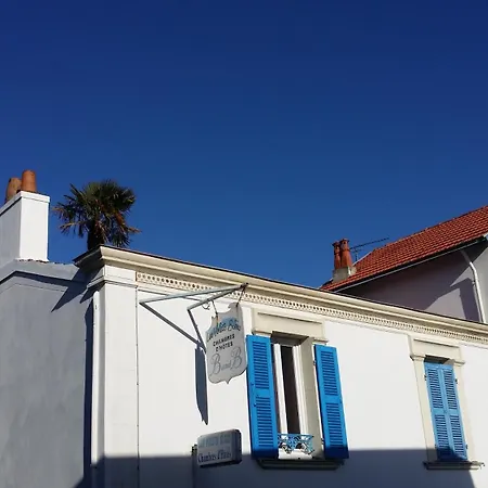 Les Volets Bleus-3