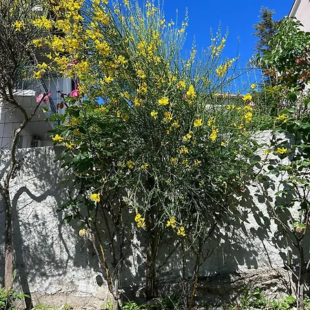 La Fonte Guest House-3