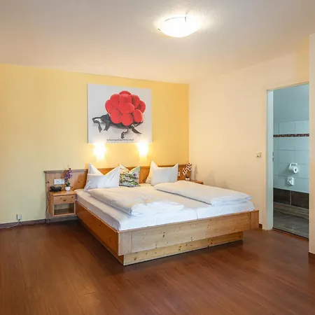 Hotel Renchtalblick-2