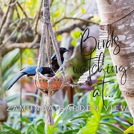 Zamunda Garden View-2