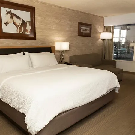 Holiday Inn Spearfish-Convention Center By Ihg-3