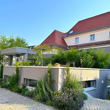 Hotel Primavera Parco-3