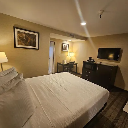 Best Western Pasadena Royale Inn & Suites-2