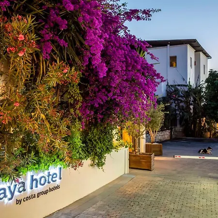 Costa Maya Bodrum-2