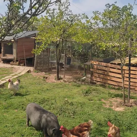 Nature Et Al House - Casa Para Uso Exclusivo E Jardim - Little Farm-3