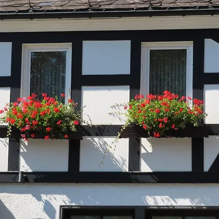 Landgasthof Gilsbach-2