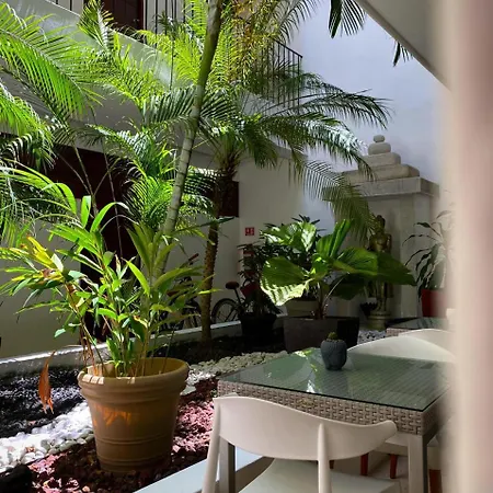 Hotel Zendero Tulum-3