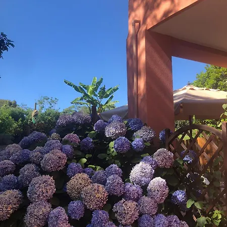 Sonnino B&B-2