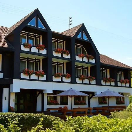 Landhotel Laarmann-3
