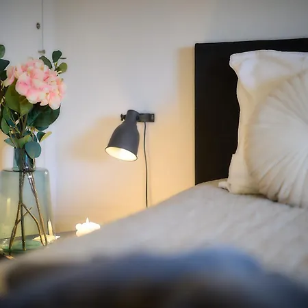 Villa Cecha B&B &Wellness-3