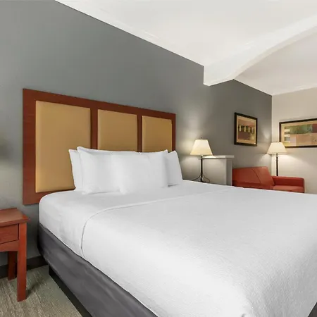 Best Western Plus Waxahachie Inn & Suites-3