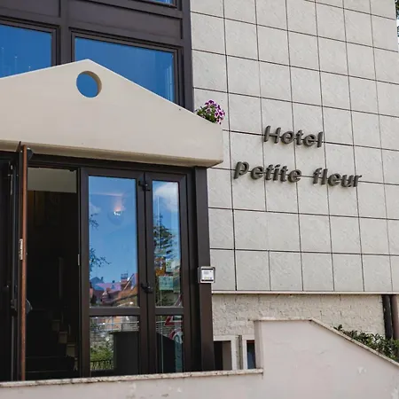 Hotel Petite Fleur-2
