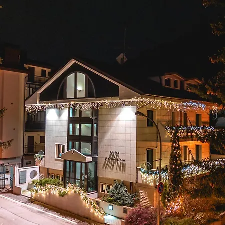 Hotel Petite Fleur-3