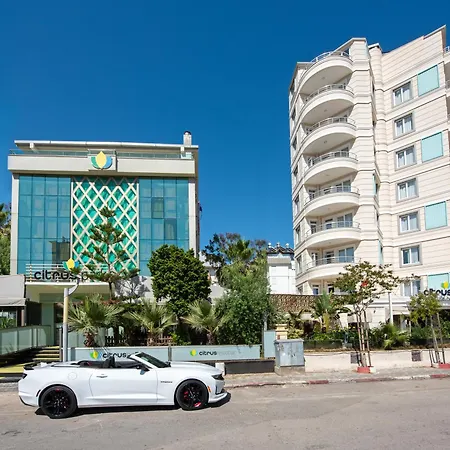 Citrus Park Hotel-3