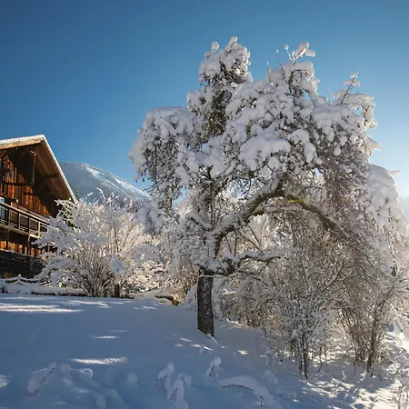 Chalet Cannelle-3
