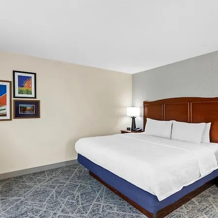 Hampton Inn Dekalb - Near The University-3