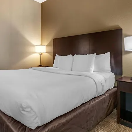 Comfort Inn & Suites Deland - Near University-2