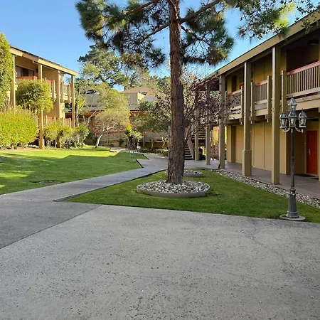 Comfort Inn Monterey Peninsula Airport-3
