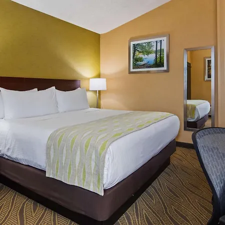 Best Western Gaylord-3