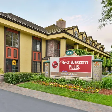Best Western Plus Raffles Inn & Suites-3