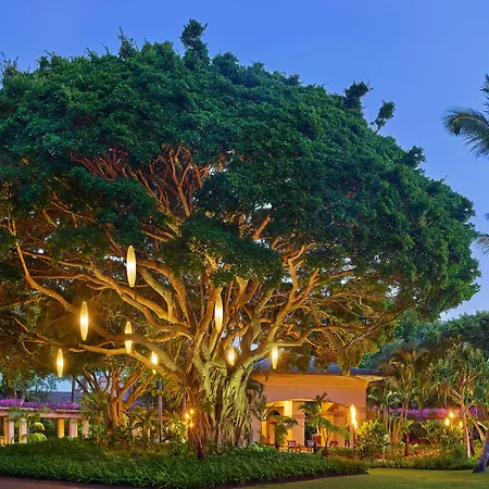 The Ritz-Carlton Maui, Kapalua-3