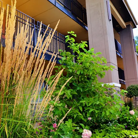 Centerstone Plaza Hotel Soldiers Field - Mayo Clinic Area-3