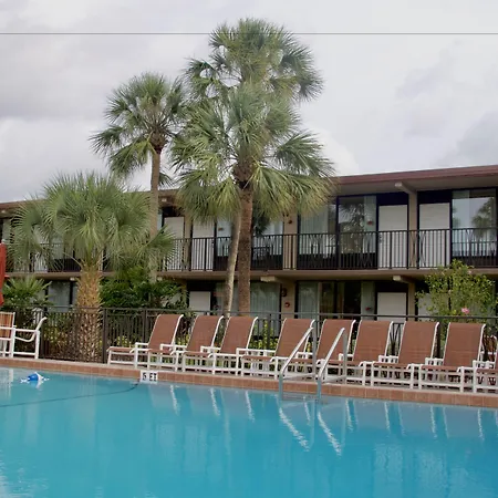 Magic Tree Resort-2