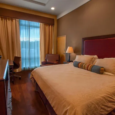 Hotel Ithaca-2