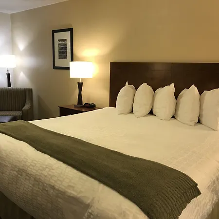 Dinosaur Inn & Suites-3