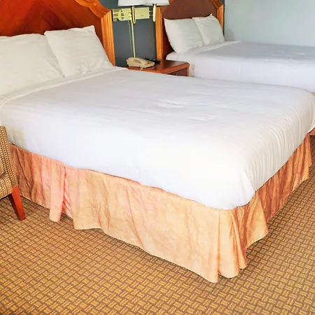 Hotel Elev8-3