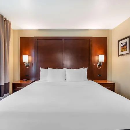 Comfort Inn Fairfield Napa Valley Area-3