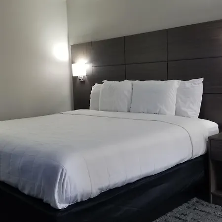 Days Inn & Suites By Wyndham Charleston Airport West-2