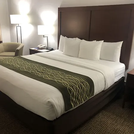Comfort Inn Grand Island North-3