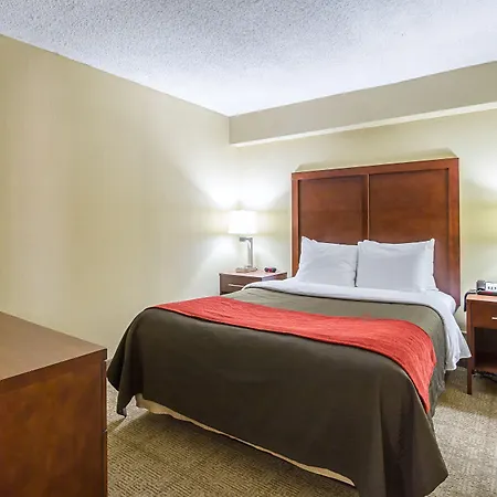 Comfort Inn Cleveland Downtown-2